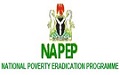 NAPEP-logo1